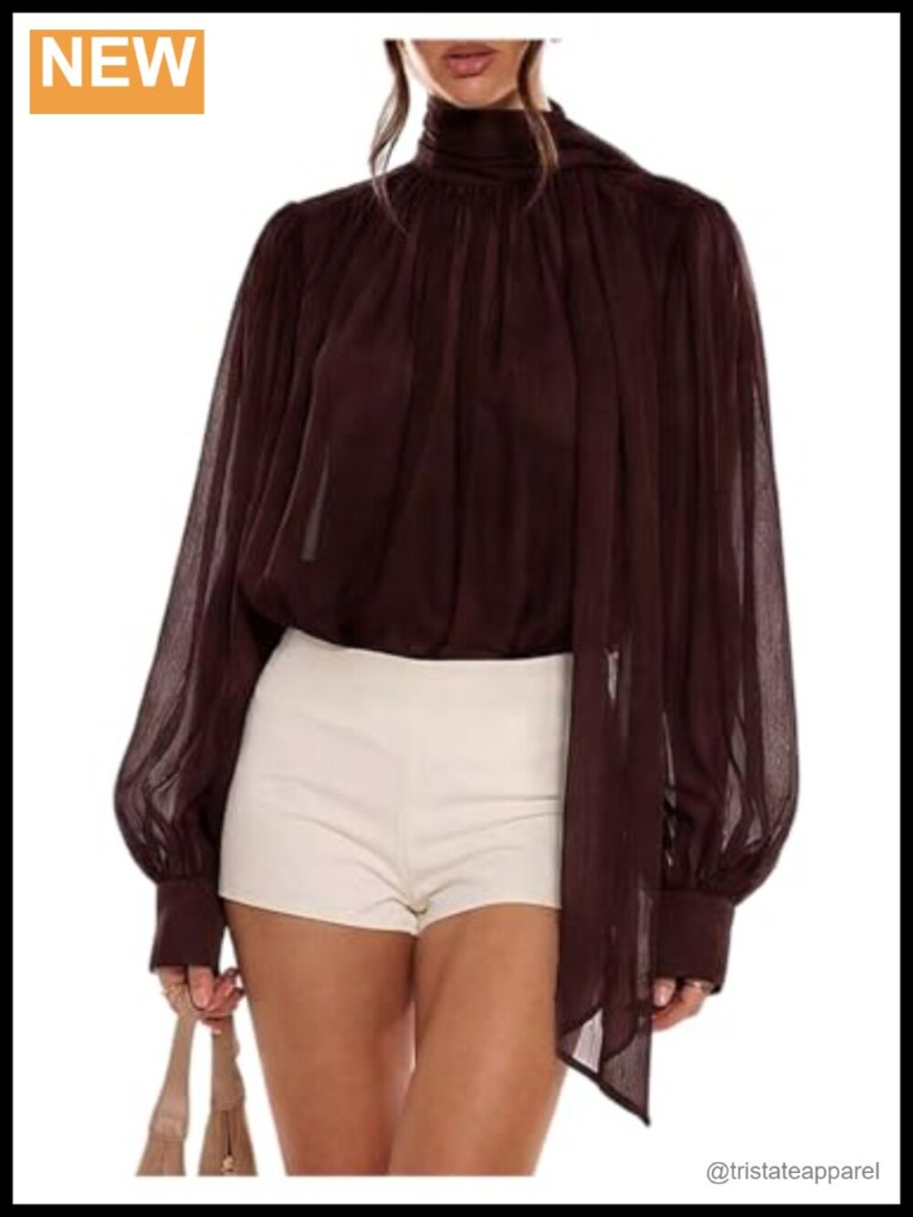Sheer Chiffon Long Sleeve Blouse Mock Neck Button Front Women's Dressy Top